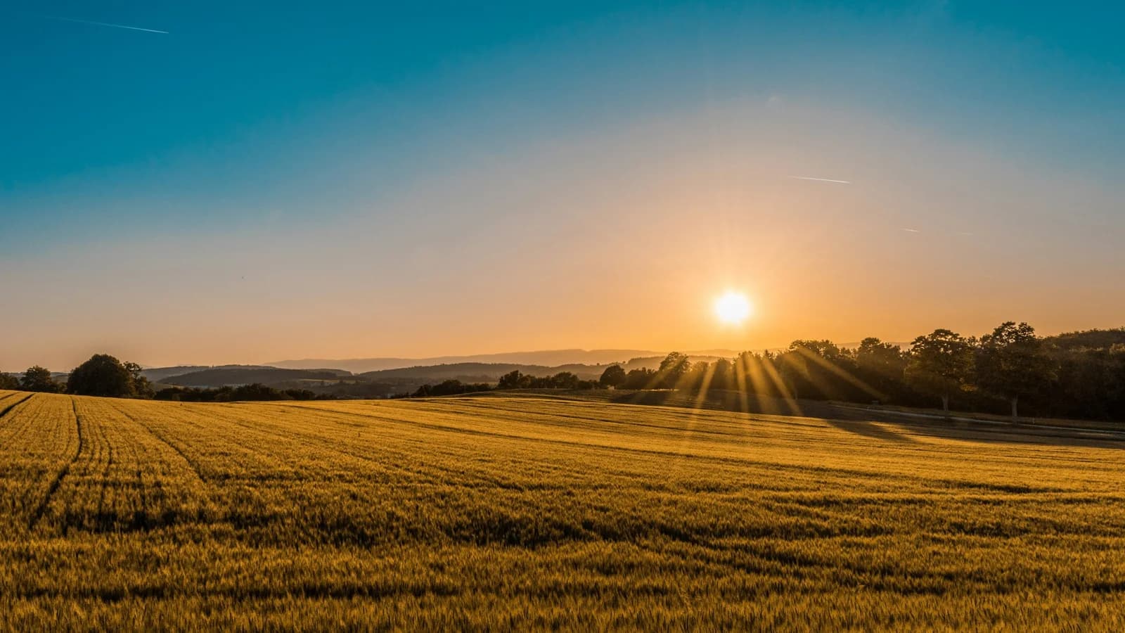 Note Yendz 2026 : structurer une filière agricole exportable